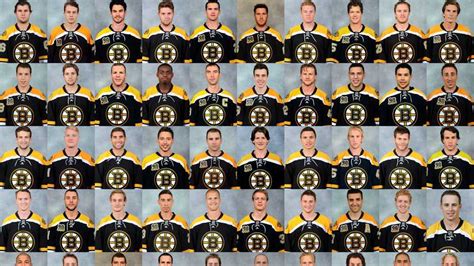 bruins roster stats